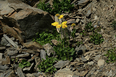 BUITEN BEELD Foto: 363278