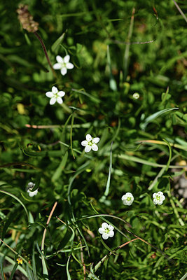 BUITEN BEELD Foto: 363285