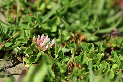 BUITEN BEELD Foto: 363291