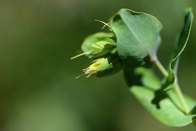 BUITEN BEELD Foto: 363307