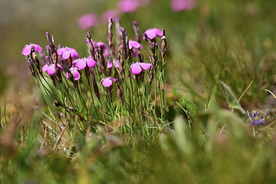 BUITEN BEELD Foto: 363309