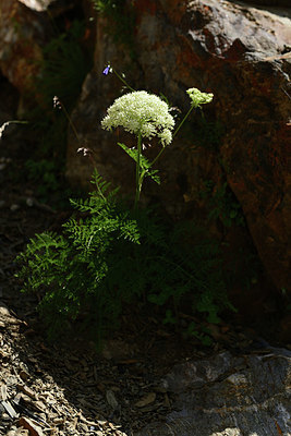 BUITEN BEELD Foto: 363312