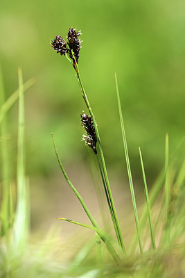 BUITEN BEELD Foto: 363328