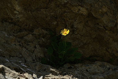 BUITEN BEELD Foto: 363355