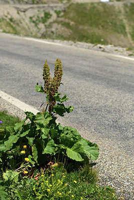 BUITEN BEELD Foto: 363356