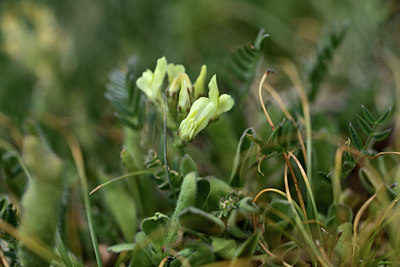 BUITEN BEELD Foto: 363399