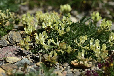 BUITEN BEELD Foto: 363416