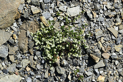 BUITEN BEELD Foto: 363437