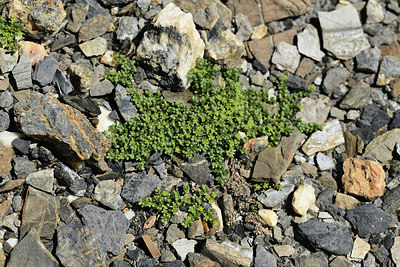 BUITEN BEELD Foto: 363440