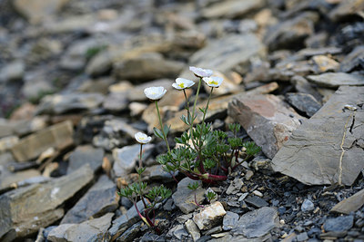 BUITEN BEELD Foto: 363450