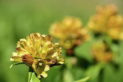 BUITEN BEELD Foto: 363466