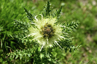 BUITEN BEELD Foto: 363472