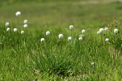 BUITEN BEELD Foto: 363474