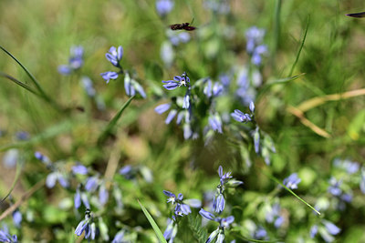 BUITEN BEELD Foto: 363493