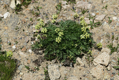 BUITEN BEELD Foto: 363499