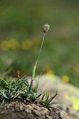 BUITEN BEELD Foto: 363547