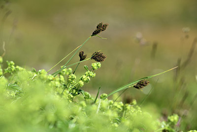 BUITEN BEELD Foto: 363566