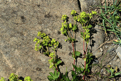 BUITEN BEELD Foto: 363571