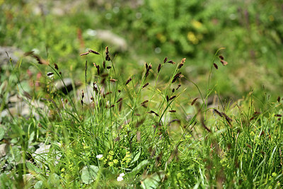BUITEN BEELD Foto: 363586