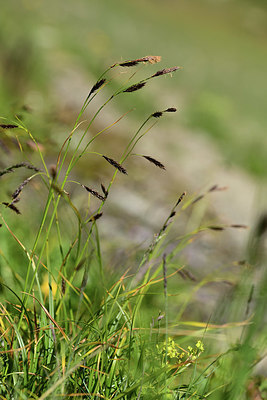 BUITEN BEELD Foto: 363591