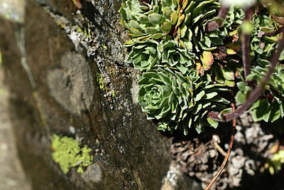 BUITEN BEELD Foto: 363604