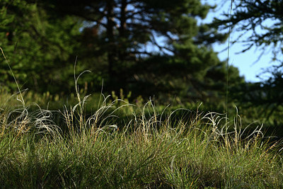 BUITEN BEELD Foto: 363620
