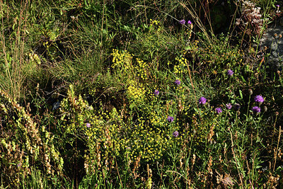 BUITEN BEELD Foto: 363624