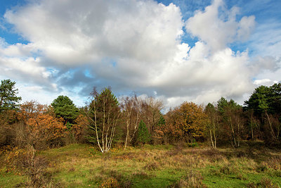 BUITEN BEELD Foto: 363721