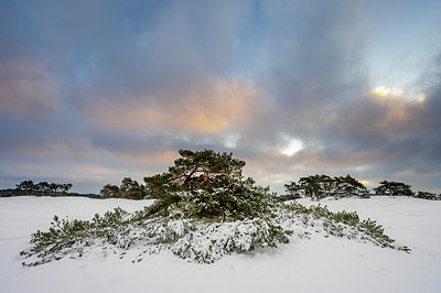 BUITEN BEELD Foto: 363815