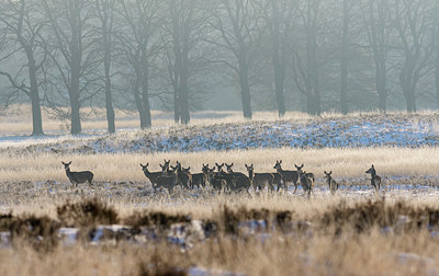 BUITEN BEELD Foto: 363822
