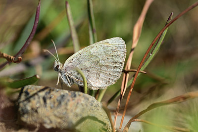 BUITEN BEELD Foto: 363869