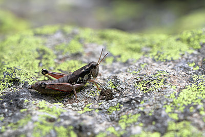 BUITEN BEELD Foto: 363902