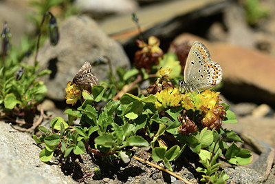 BUITEN BEELD Foto: 363994