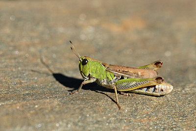 BUITEN BEELD Foto: 364006