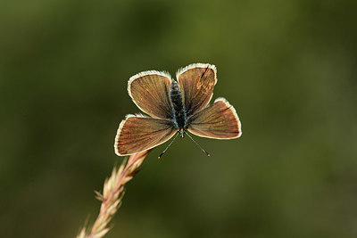 BUITEN BEELD Foto: 364018