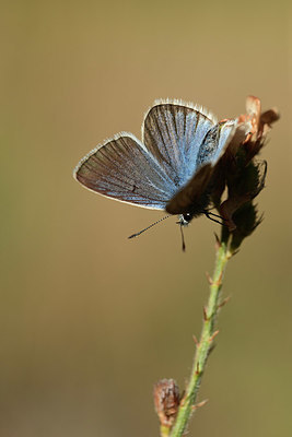 BUITEN BEELD Foto: 364023