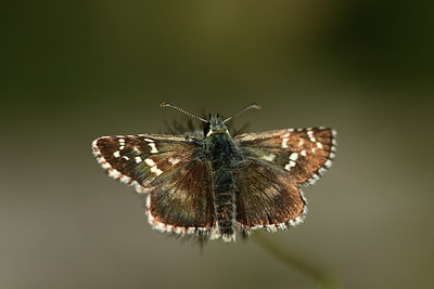 BUITEN BEELD Foto: 364029