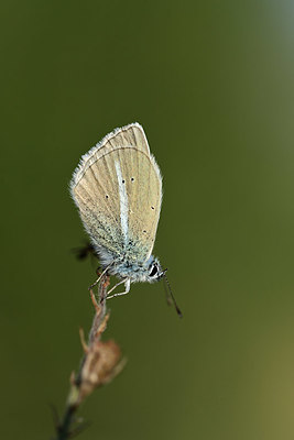 BUITEN BEELD Foto: 364032