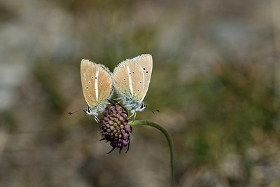 BUITEN BEELD Foto: 364057