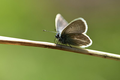 BUITEN BEELD Foto: 364070