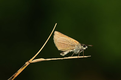 BUITEN BEELD Foto: 364112