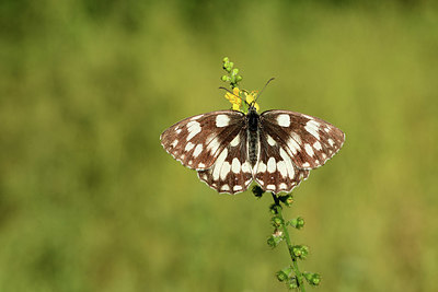 BUITEN BEELD Foto: 364120