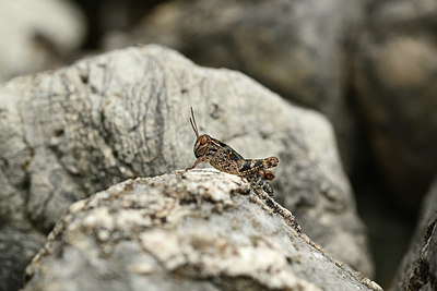 BUITEN BEELD Foto: 364200