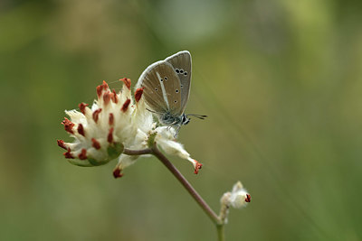 BUITEN BEELD Foto: 364207