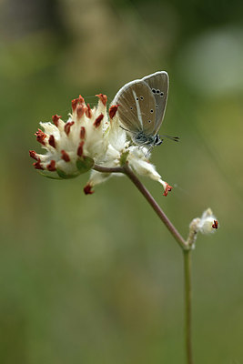 BUITEN BEELD Foto: 364208