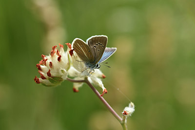 BUITEN BEELD Foto: 364209