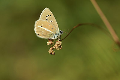 BUITEN BEELD Foto: 364214