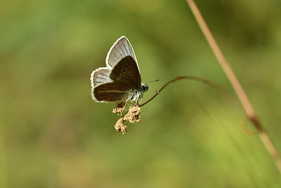 BUITEN BEELD Foto: 364215