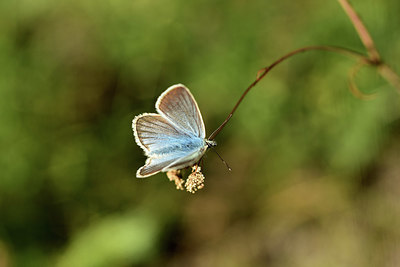 BUITEN BEELD Foto: 364216