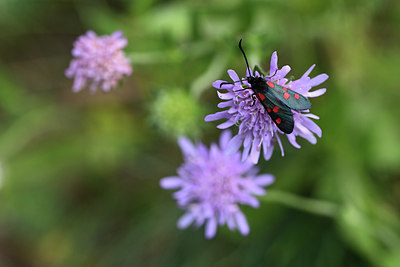 BUITEN BEELD Foto: 364250